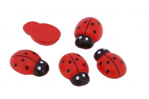 31 LADYBUGS AND BEES 