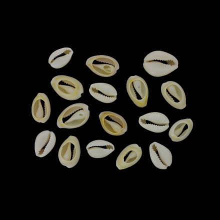 SHELL BEADS - MODEL 02 - 17x11x6mm ECRU (LIGHT) - 25g (32pcs.)