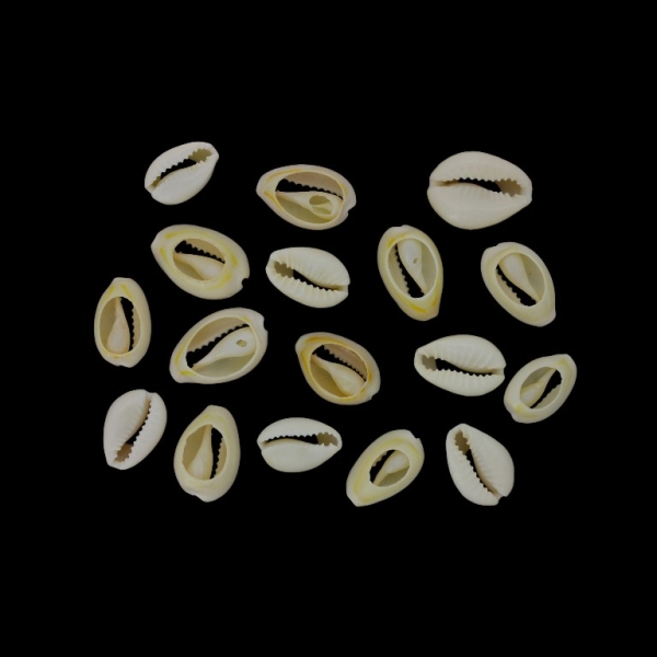 SHELL BEADS - MODEL 02 - 17x11x6mm ECRU (LIGHT) - 25g (32pcs.)