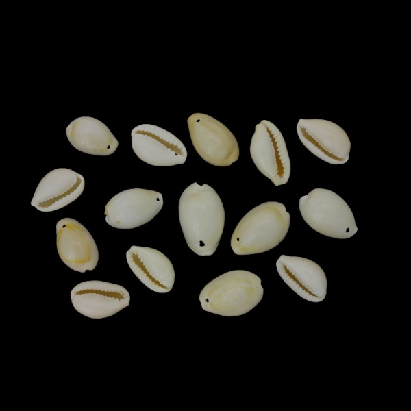 SHELL BEADS - PENDANT - MODEL 01 - 20x13x10mm ECRU (LIGHT) - PACKAGE 250g Hole-1.0mm (340pcs.)