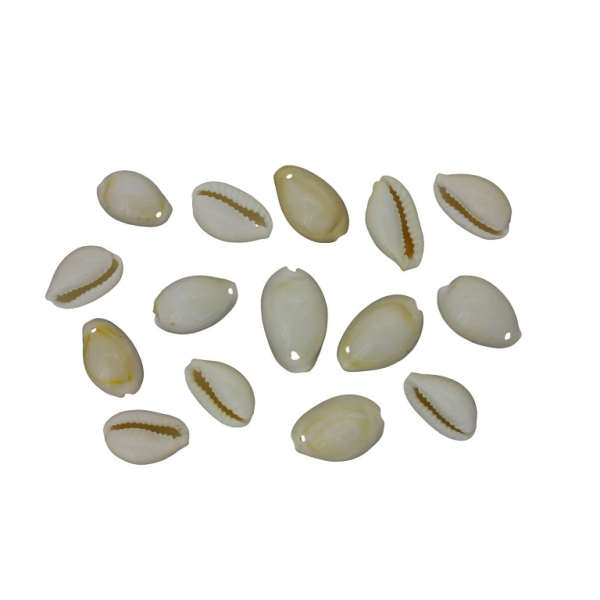 SHELL BEADS - PENDANT - MODEL 01 - 20x13x10mm ECRU (LIGHT) - PACKAGE 250g Hole-1.0mm (340pcs.)